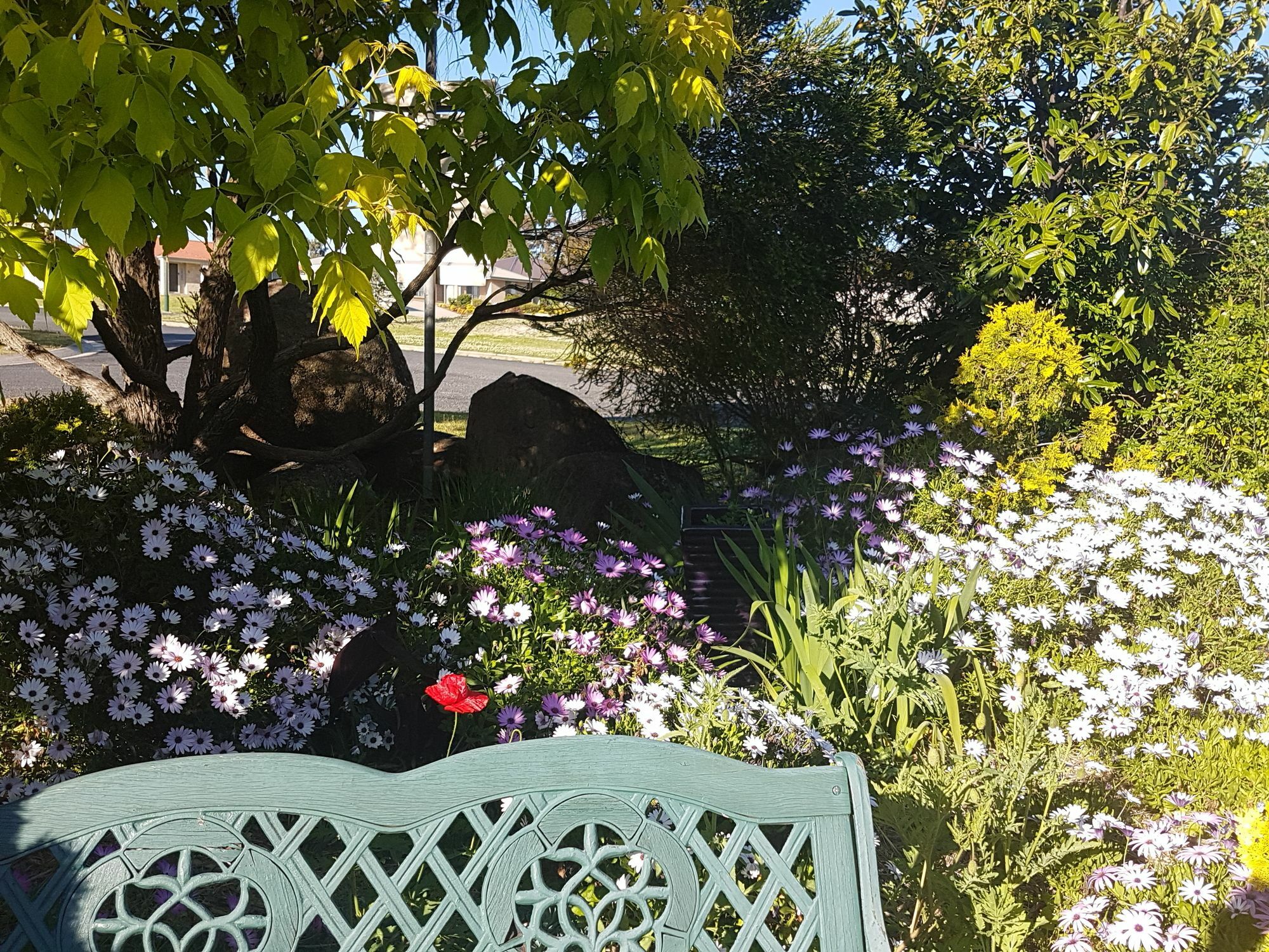 Grovely House Bed & Breakfast Stanthorpe Eksteriør bilde