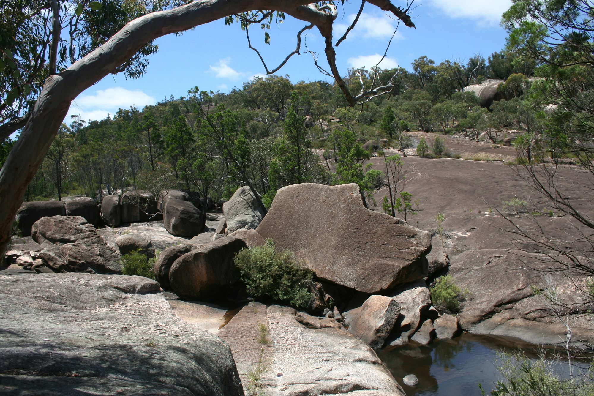 Grovely House Bed & Breakfast Stanthorpe Eksteriør bilde