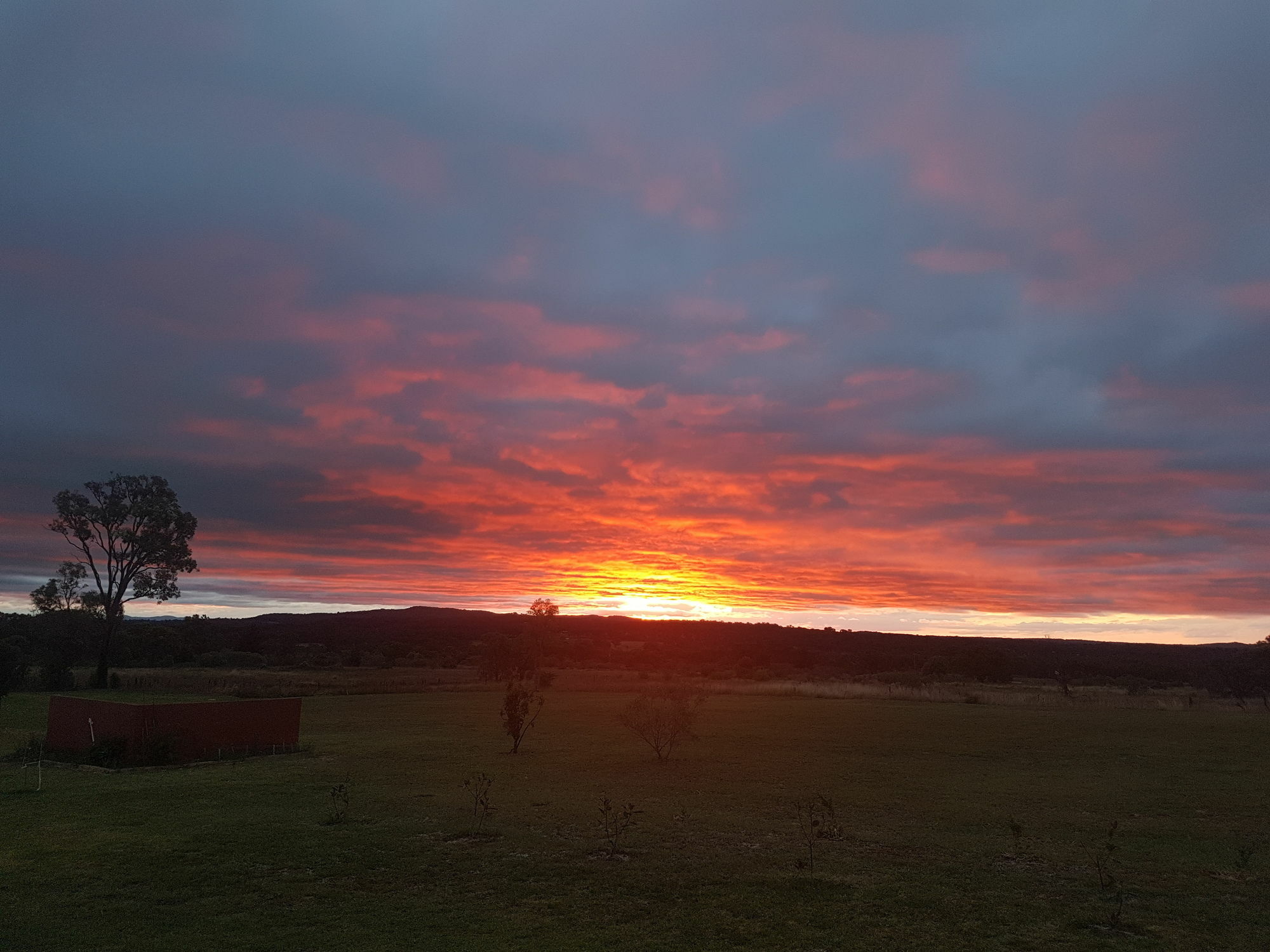 Grovely House Bed & Breakfast Stanthorpe Eksteriør bilde